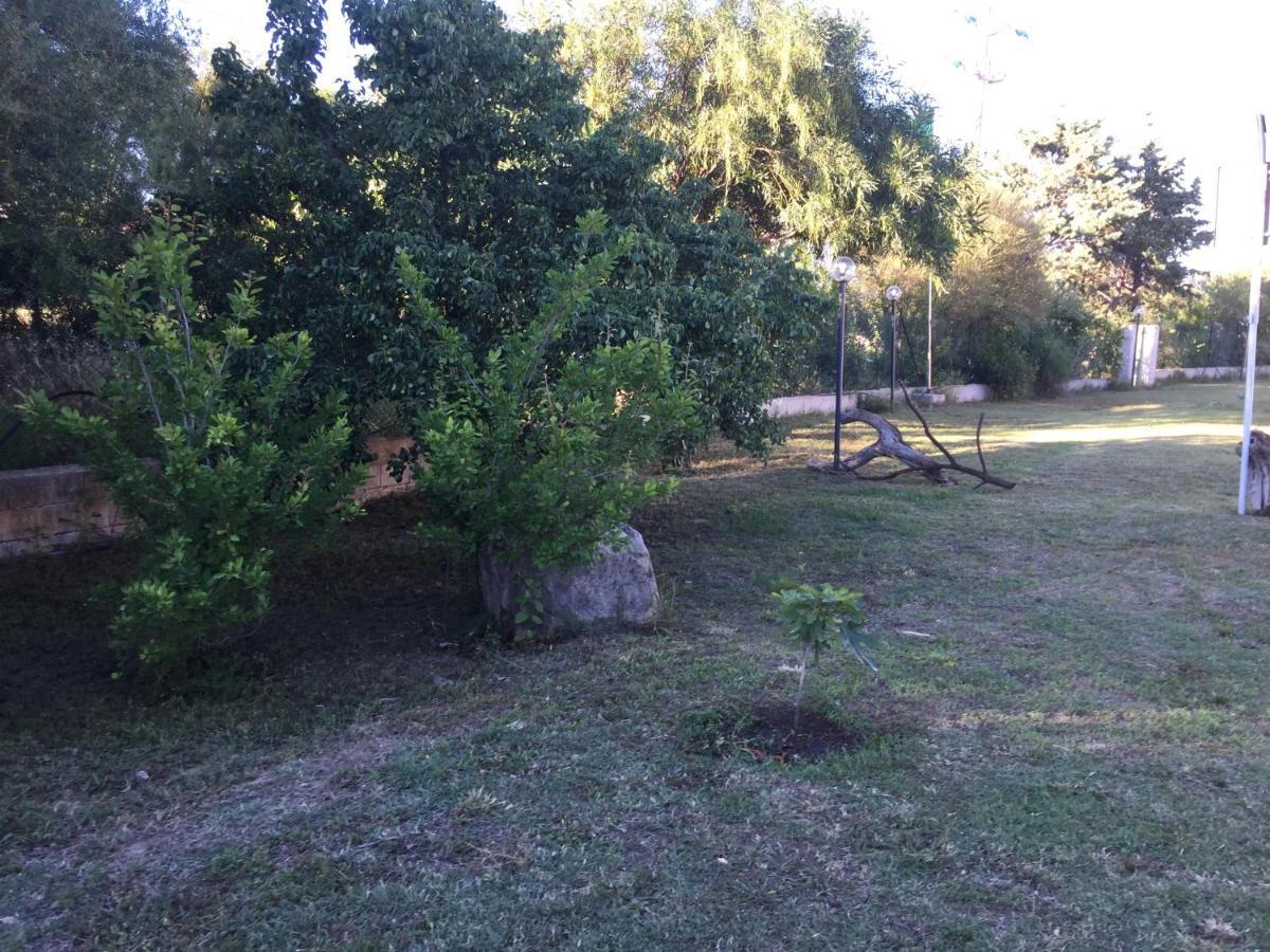 La Maison Di Zia Annina Όλμπια Εξωτερικό φωτογραφία
