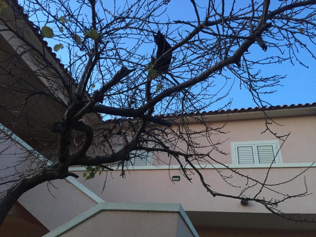 La Maison Di Zia Annina Όλμπια Εξωτερικό φωτογραφία