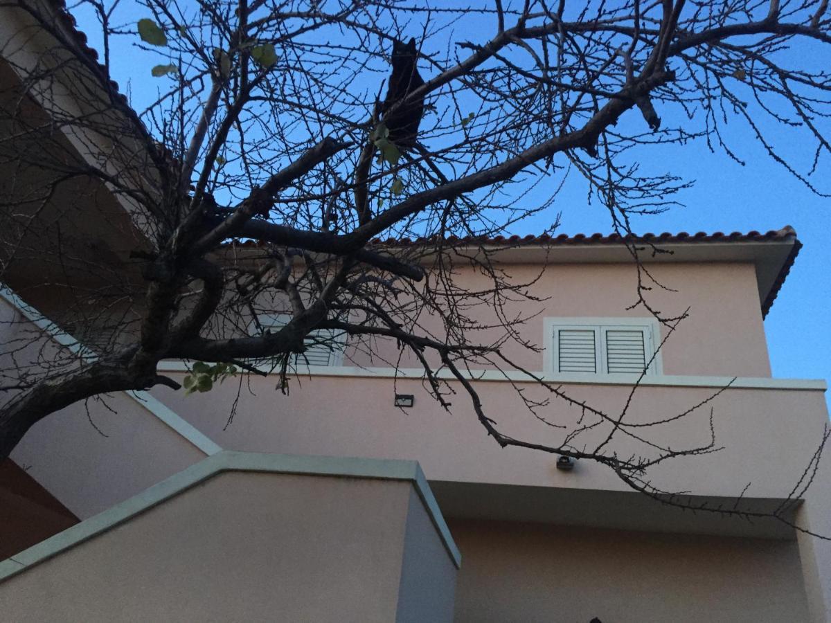 La Maison Di Zia Annina Όλμπια Εξωτερικό φωτογραφία