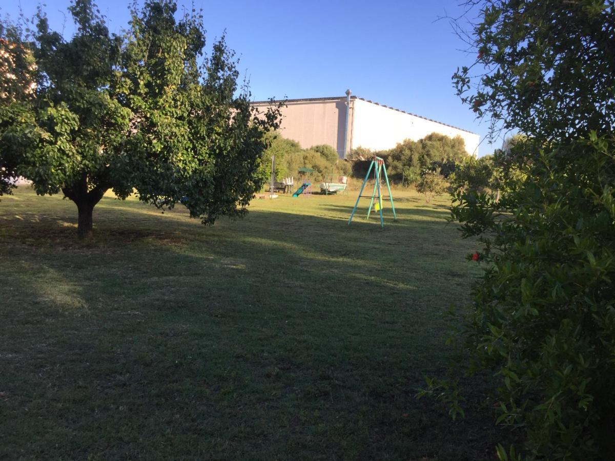 La Maison Di Zia Annina Όλμπια Εξωτερικό φωτογραφία