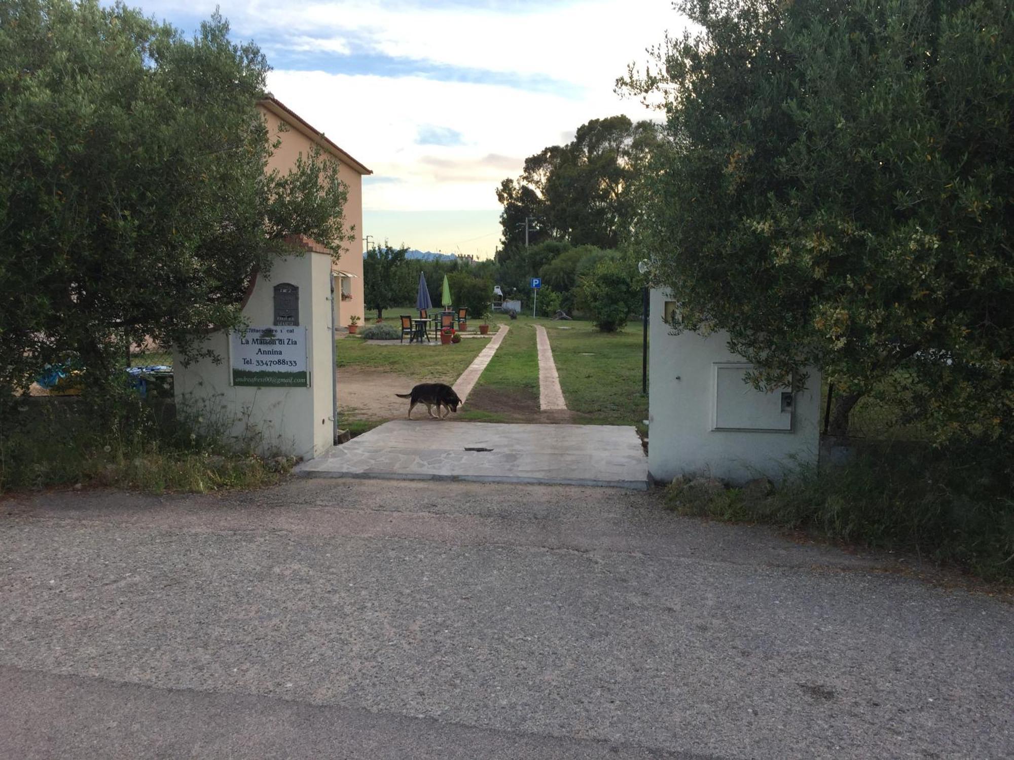 La Maison Di Zia Annina Όλμπια Εξωτερικό φωτογραφία
