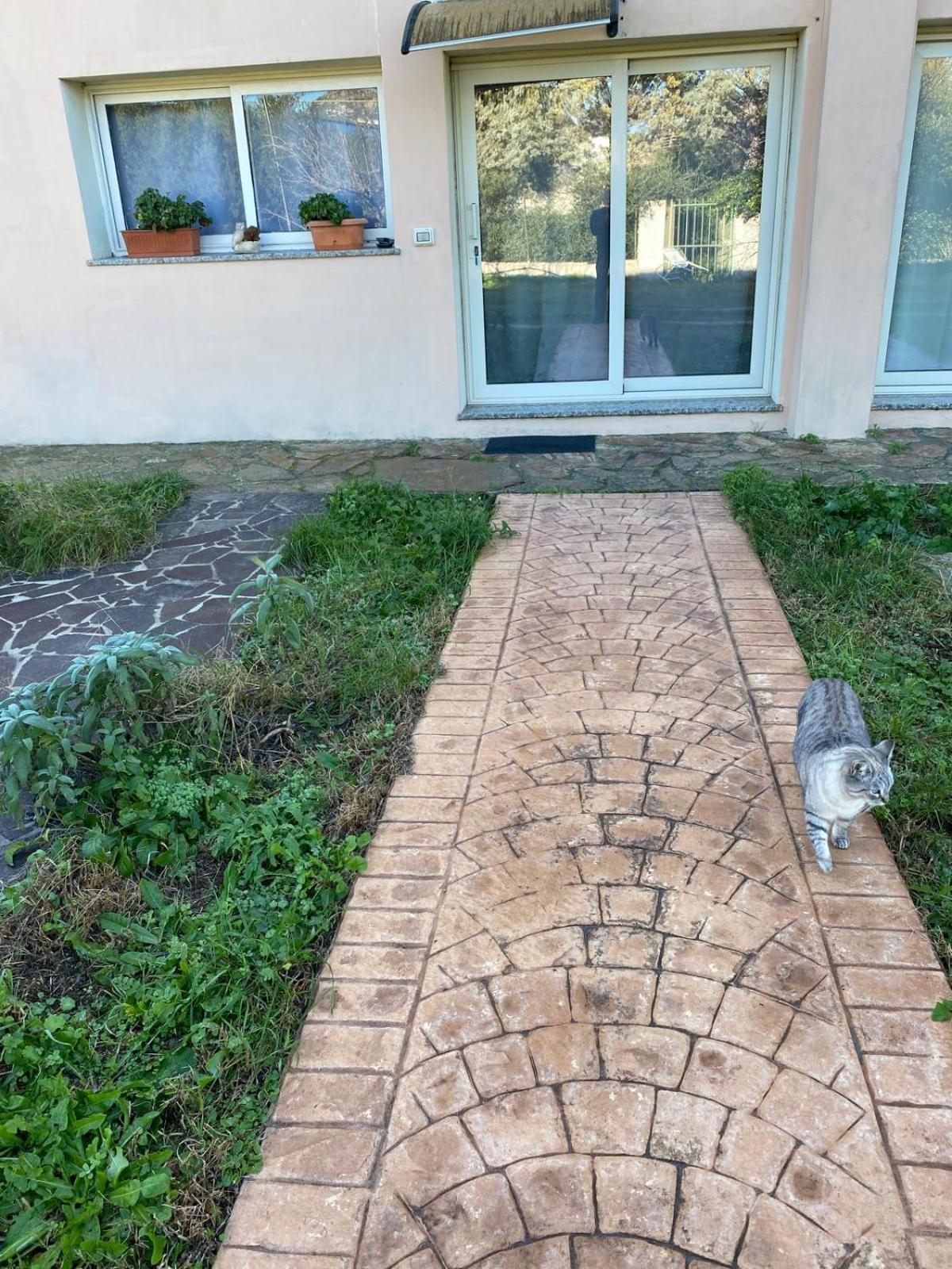 La Maison Di Zia Annina Όλμπια Εξωτερικό φωτογραφία