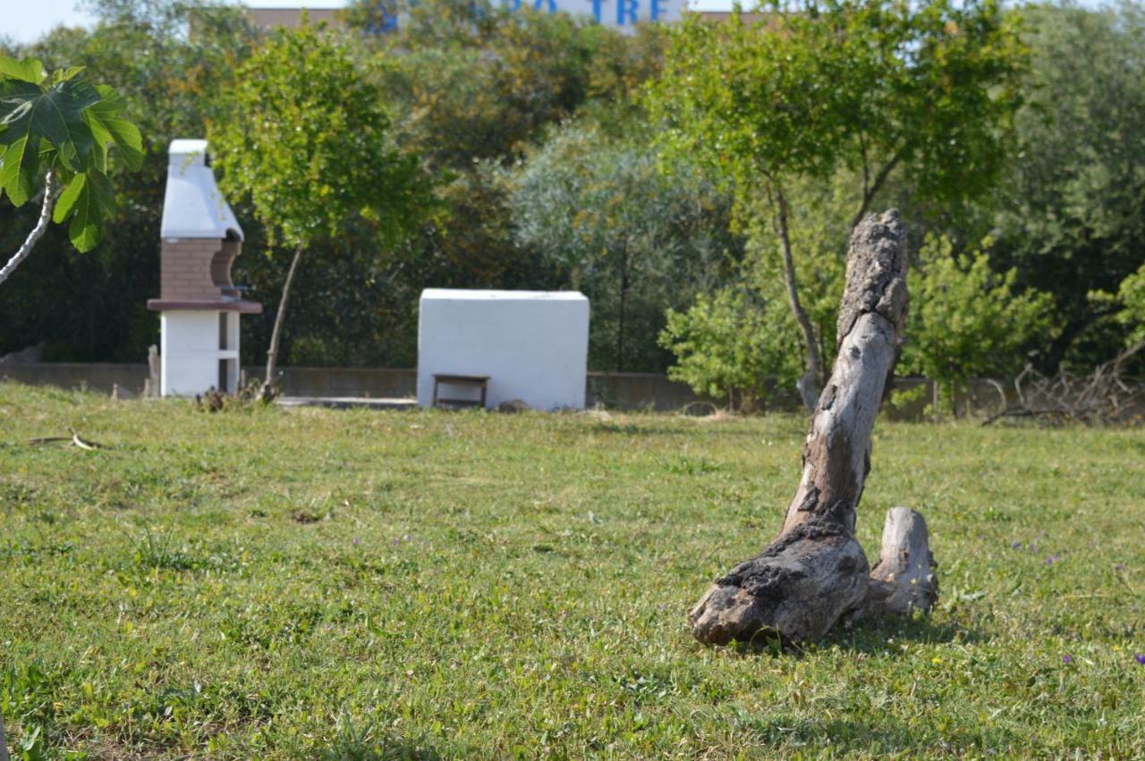 La Maison Di Zia Annina Όλμπια Εξωτερικό φωτογραφία