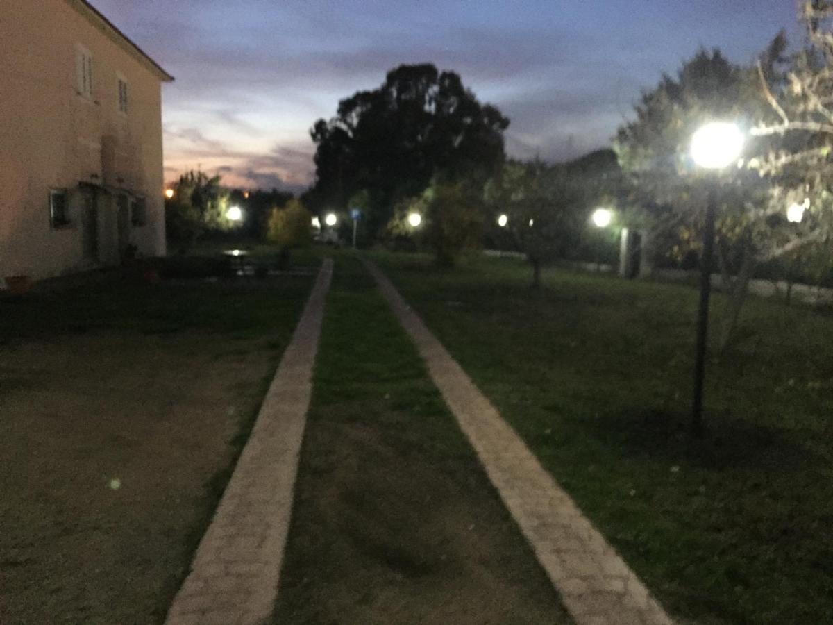 La Maison Di Zia Annina Όλμπια Εξωτερικό φωτογραφία