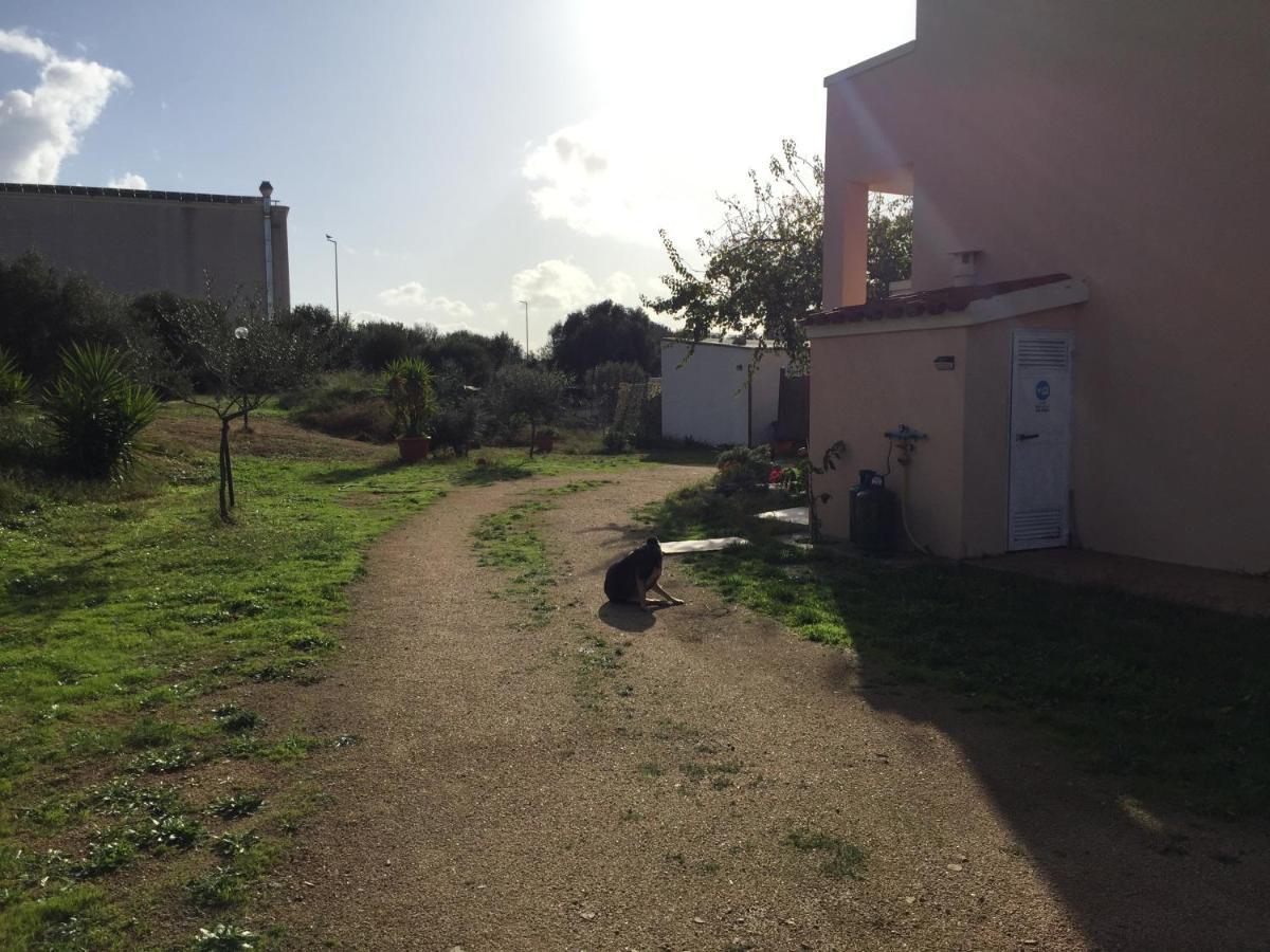 La Maison Di Zia Annina Όλμπια Εξωτερικό φωτογραφία
